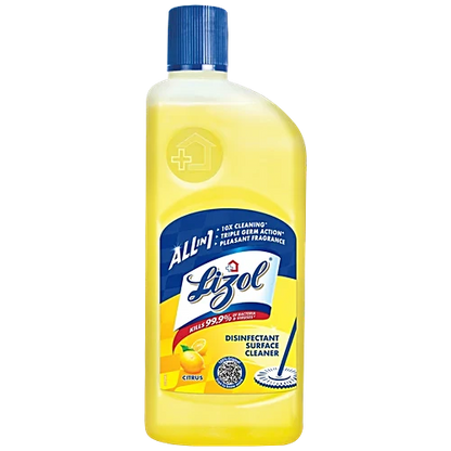 Lizol Disinfectant Surface & Floor Cleaner - Citrus, 500 ml